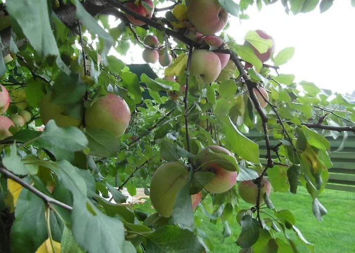 Сasa de vacaciones White *